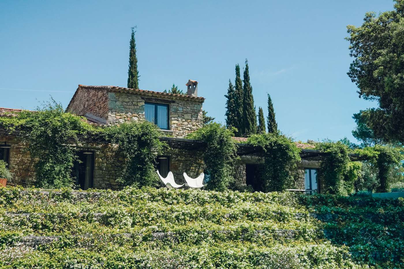 Photo de la maison principale du domaine Monte Verdi à Tourtour avec sa pergola en floraison 
